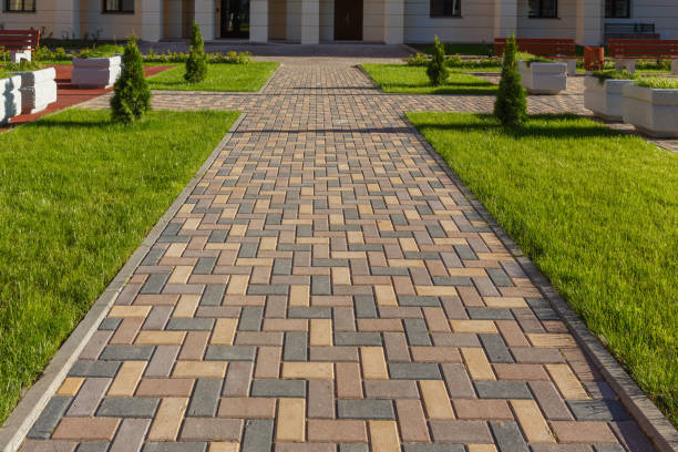 Best Driveway Sealing and Maintenance in Louisville, CO